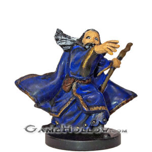 #12 - Adventuring Wizard (Male Human)