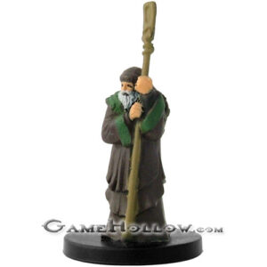 #24 - Sage (Male Human Wizard)