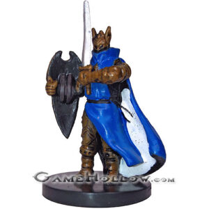 #08 - Stalwart Paladin (Human)
