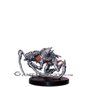 #55 - Kruthik Adult