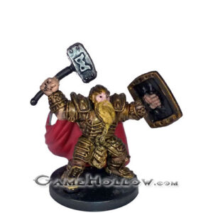 #13 - Male Dwarf Paladin