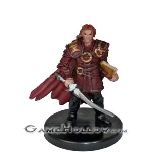 #03 - Male Human Swordmage