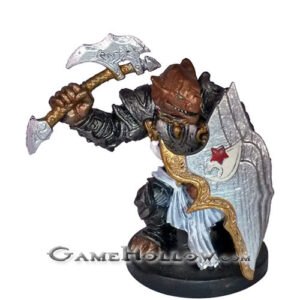 #10 - Male Dragonborn Warlord