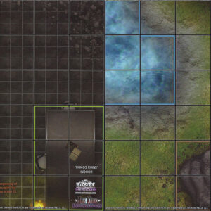 Map - Rokos Ruins / Wylden Watch (Mage Knight Resurrection)