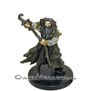 #23 - Master of Gales (Male Pirate Druid)