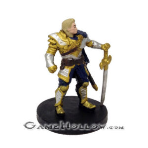 #08 - Human Paladin (Male Knight)